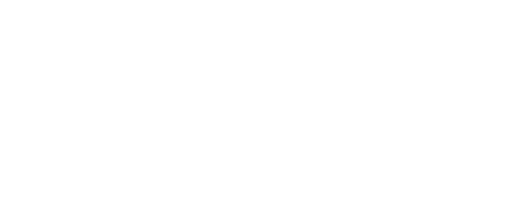 Bison logó