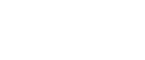 Lizaro logó